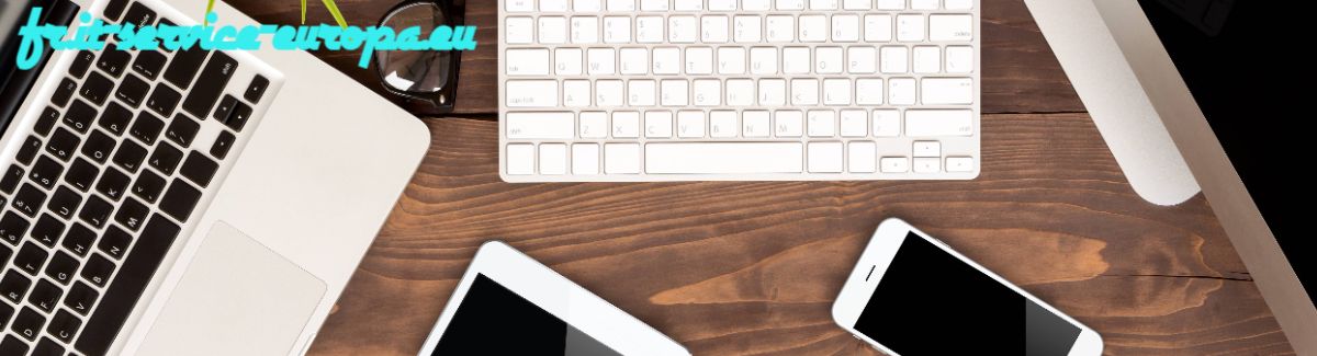 fr.it-service-europa.eu